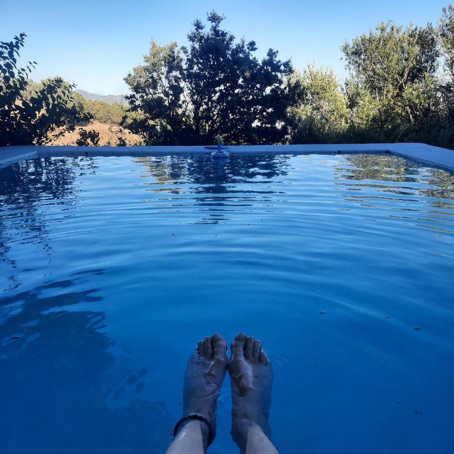 Alpujarra Guesthouse, Remote Off-Grid Mountain Accommodation Canar Zewnętrze zdjęcie