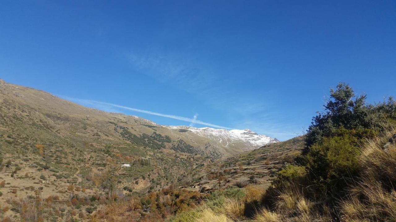 Alpujarra Guesthouse, Remote Off-Grid Mountain Accommodation Canar Zewnętrze zdjęcie