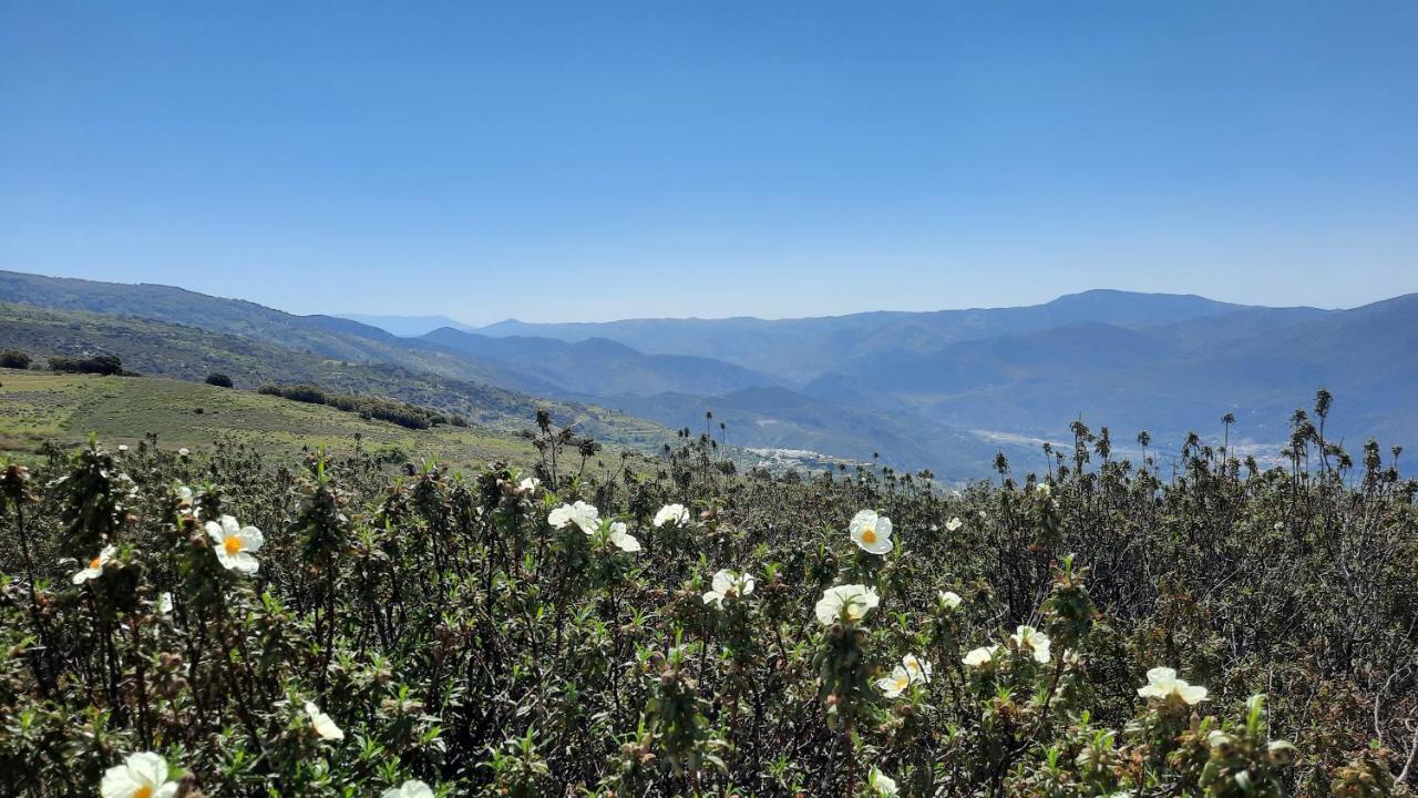 Alpujarra Guesthouse, Remote Off-Grid Mountain Accommodation Canar Zewnętrze zdjęcie