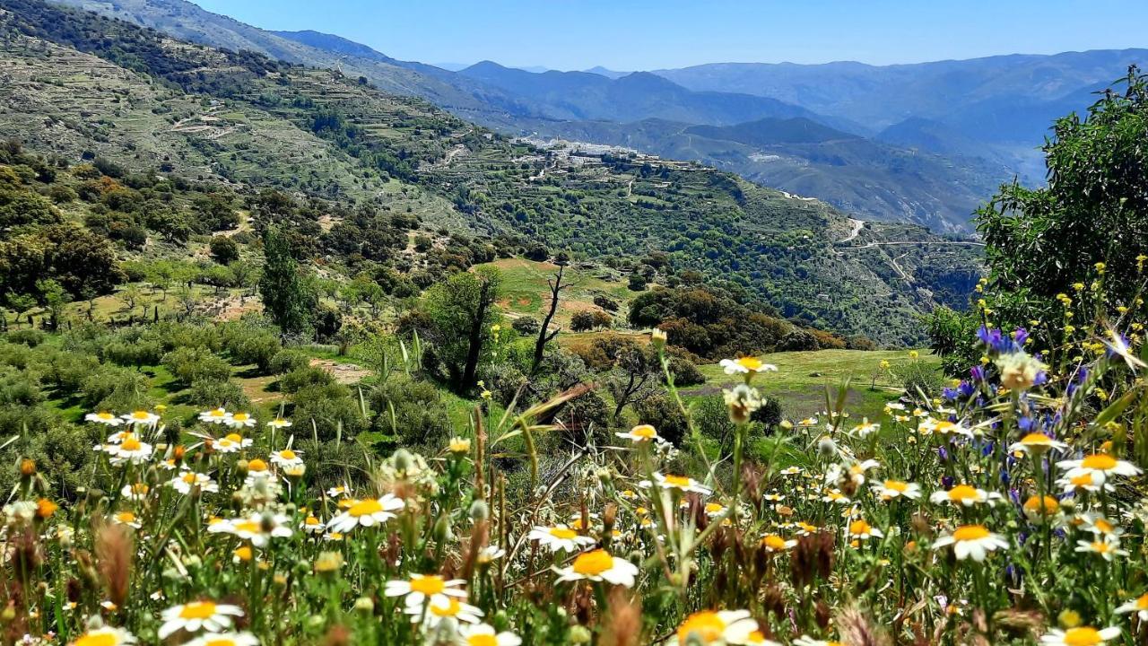 Alpujarra Guesthouse, Remote Off-Grid Mountain Accommodation Canar Zewnętrze zdjęcie
